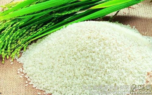 绿色大米爆料视频播放,揭秘绿色大米种植与品质背后的秘密 第1张 绿色大米爆料视频播放,揭秘绿色大米种植与品质背后的秘密 第1张